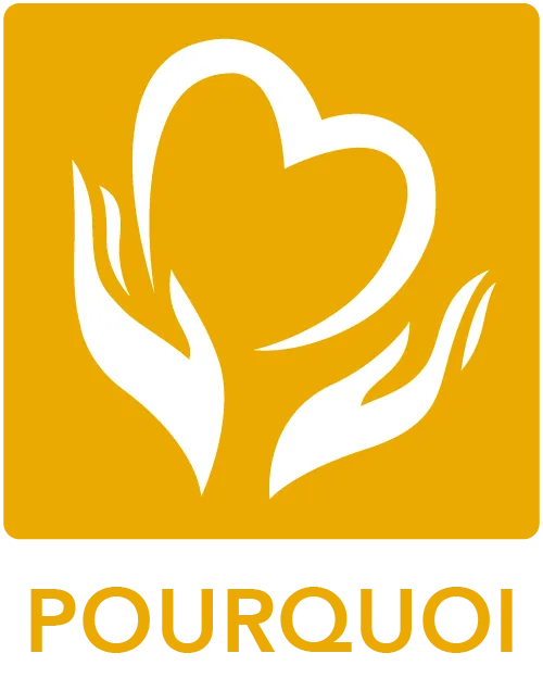 Article-9-P4-POURQUOI-Picto