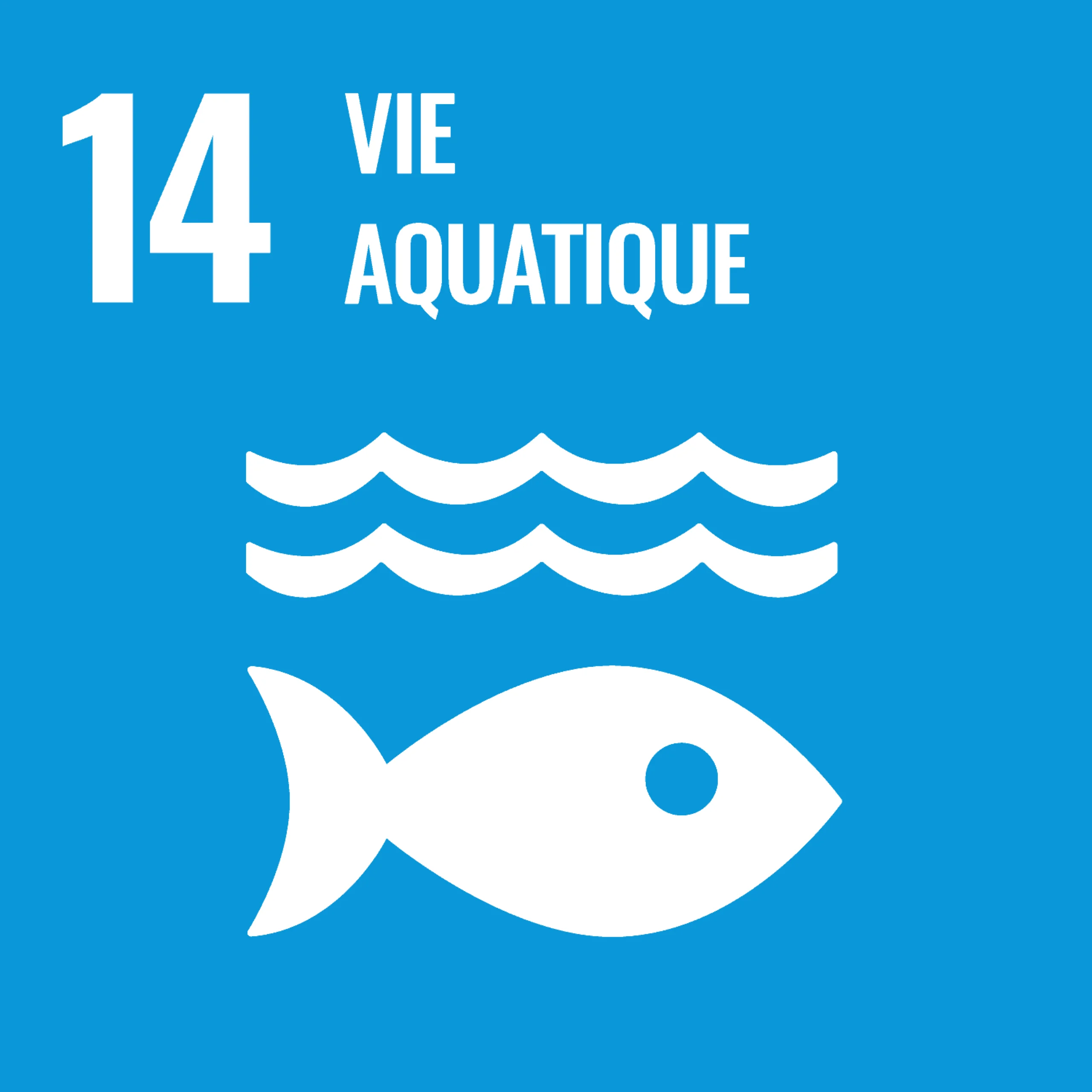 ODD 14 — Vie aquatique