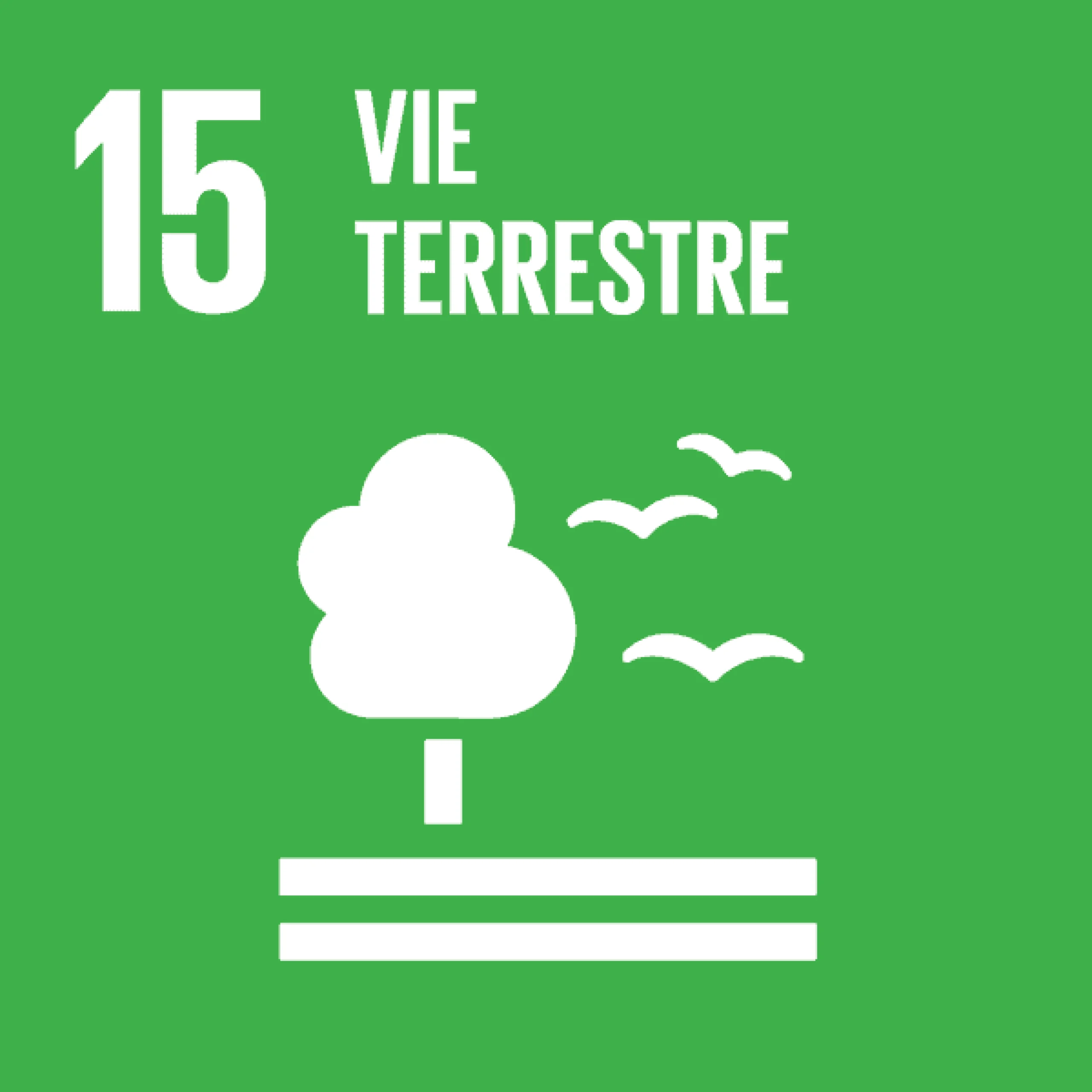 ODD 15 — Vie terrestre
