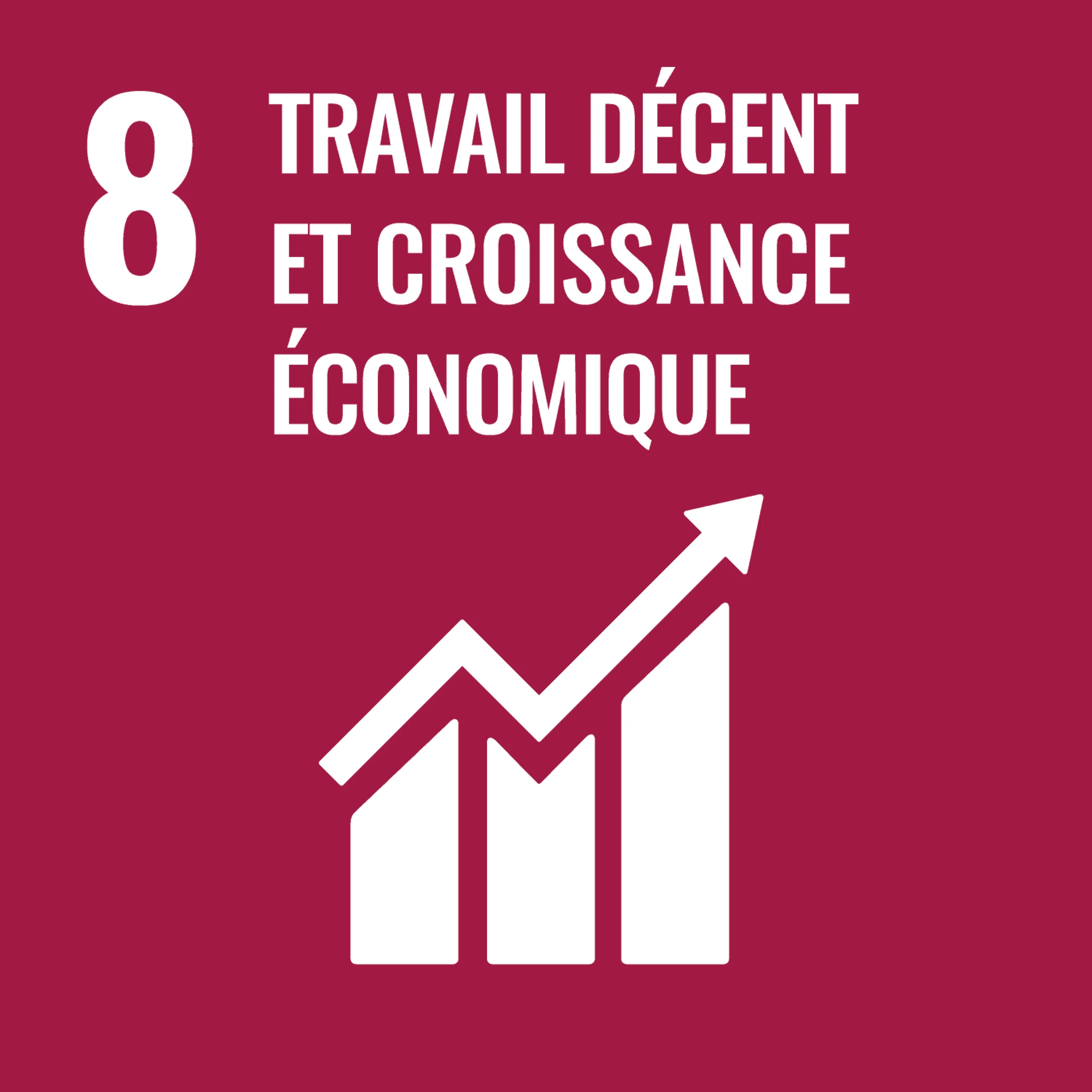 ODD 8 — Travail décent et croissance économique